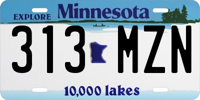 MN license plate 313MZN