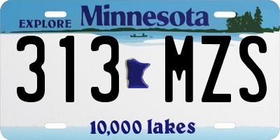 MN license plate 313MZS