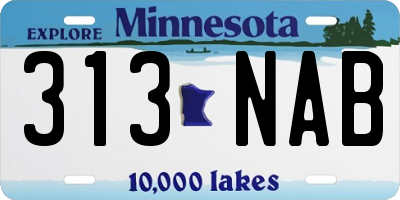 MN license plate 313NAB