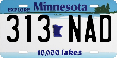 MN license plate 313NAD