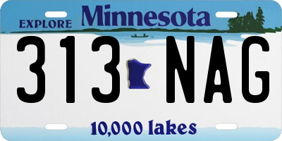 MN license plate 313NAG