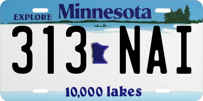 MN license plate 313NAI
