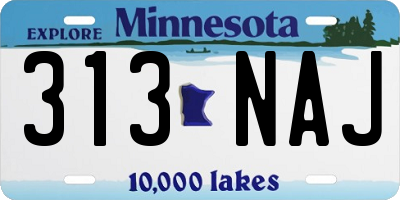 MN license plate 313NAJ