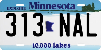 MN license plate 313NAL