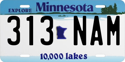 MN license plate 313NAM