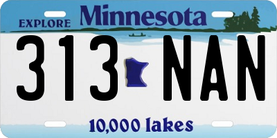 MN license plate 313NAN