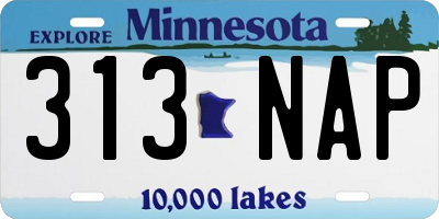 MN license plate 313NAP