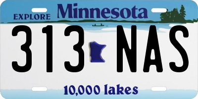 MN license plate 313NAS