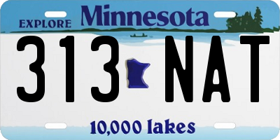 MN license plate 313NAT