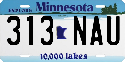 MN license plate 313NAU