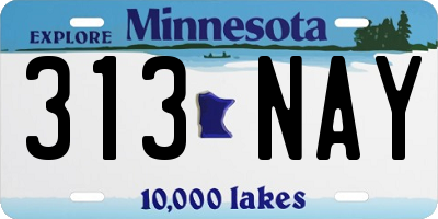 MN license plate 313NAY