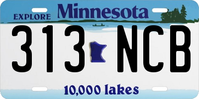 MN license plate 313NCB