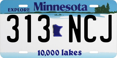 MN license plate 313NCJ