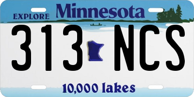 MN license plate 313NCS