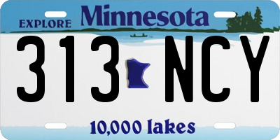 MN license plate 313NCY
