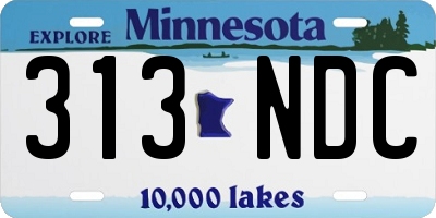 MN license plate 313NDC