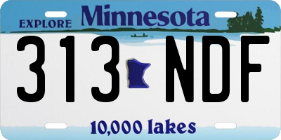 MN license plate 313NDF