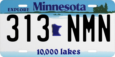 MN license plate 313NMN