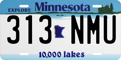 MN license plate 313NMU