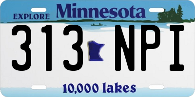MN license plate 313NPI