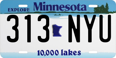 MN license plate 313NYU
