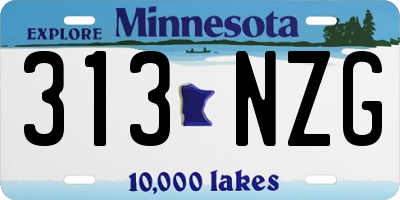 MN license plate 313NZG