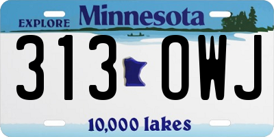 MN license plate 313OWJ