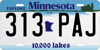 MN license plate 313PAJ