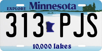 MN license plate 313PJS