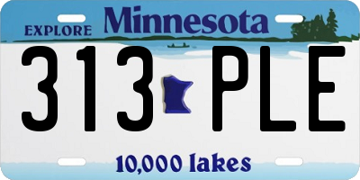 MN license plate 313PLE