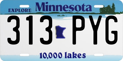 MN license plate 313PYG