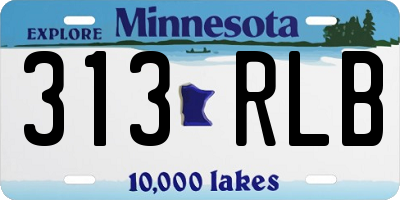 MN license plate 313RLB