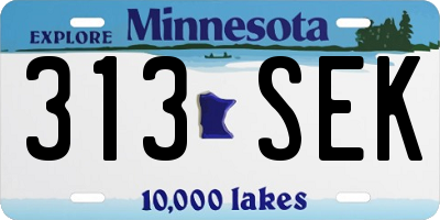 MN license plate 313SEK