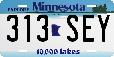 MN license plate 313SEY