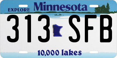 MN license plate 313SFB