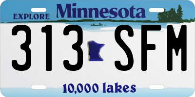 MN license plate 313SFM