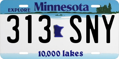 MN license plate 313SNY