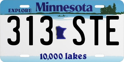 MN license plate 313STE