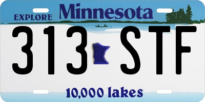 MN license plate 313STF