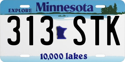 MN license plate 313STK