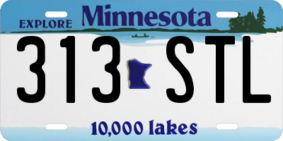 MN license plate 313STL