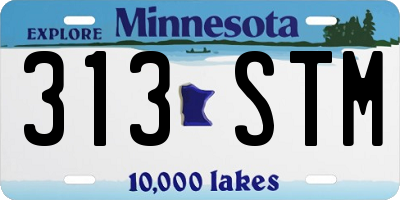 MN license plate 313STM