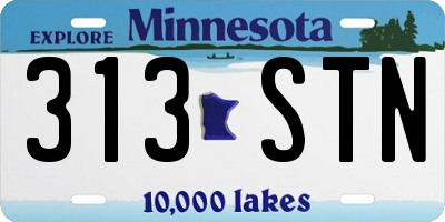 MN license plate 313STN