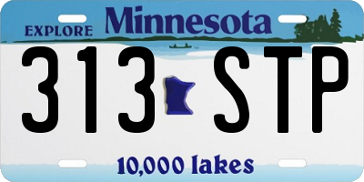 MN license plate 313STP