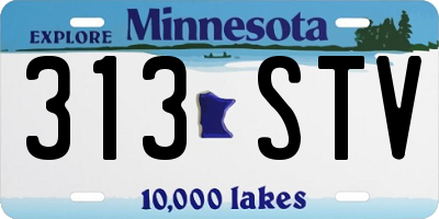 MN license plate 313STV