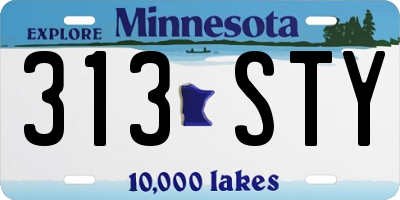 MN license plate 313STY