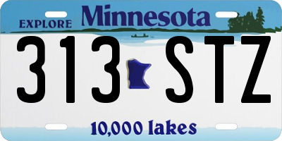 MN license plate 313STZ