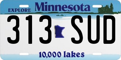 MN license plate 313SUD