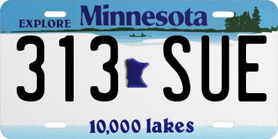 MN license plate 313SUE