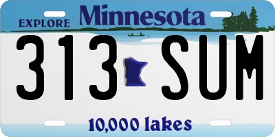 MN license plate 313SUM